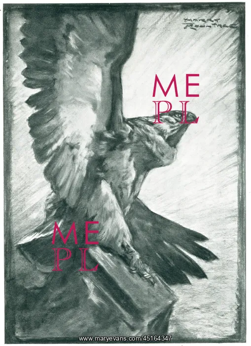: Advertisement Illustration, Bird Of Prey : Advertisement Illustration, Bird Of Prey