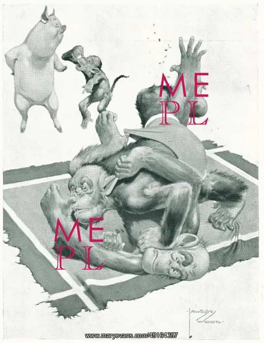 : Advertisement Illustration Monkey Wrestle : Advertisement Illustration Monkey Wrestle