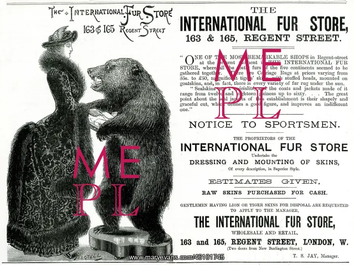 : Advert for International Fur Store 1882 : Advert for International Fur Store 1882