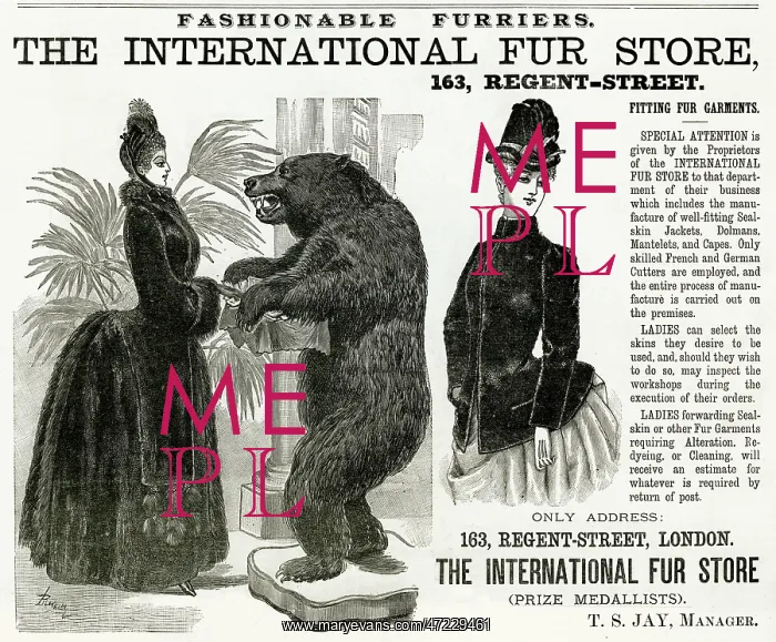 : Advert for International Fur Store 1886 : Advert for International Fur Store 1886