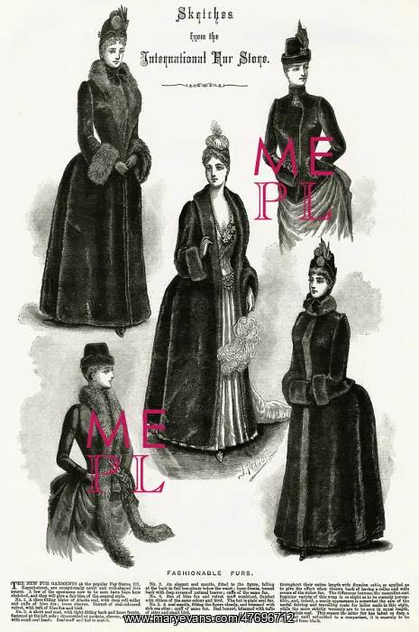 : Advert for International Fur Store 1886 : Advert for International Fur Store 1886