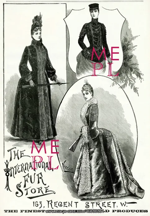 : Advert for International Fur Store 1888 : Advert for International Fur Store 1888