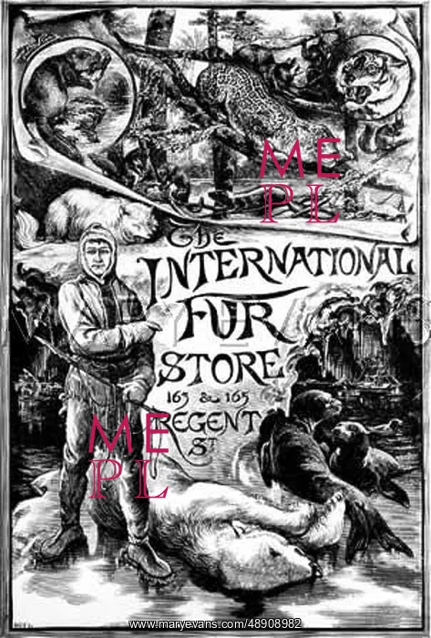 : Advert for International Fur Store 1888 : Advert for International Fur Store 1888