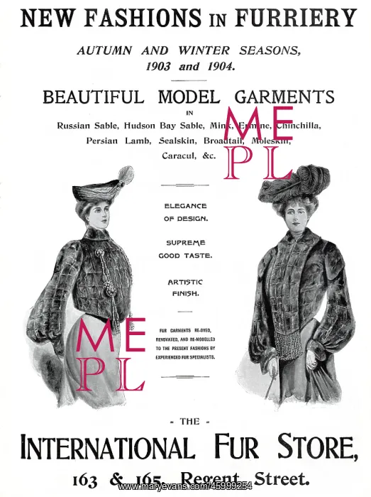 : Advert for International Fur Store 1903 : Advert for International Fur Store 1903