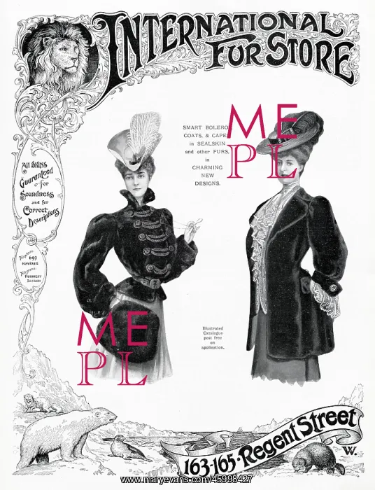 : Advert for International Fur Store 1905 : Advert for International Fur Store 1905