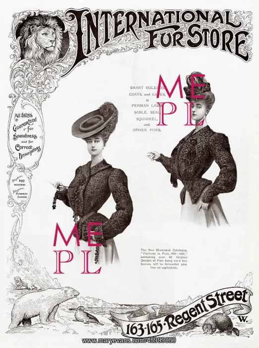 : Advert for International Fur Store 1905 : Advert for International Fur Store 1905