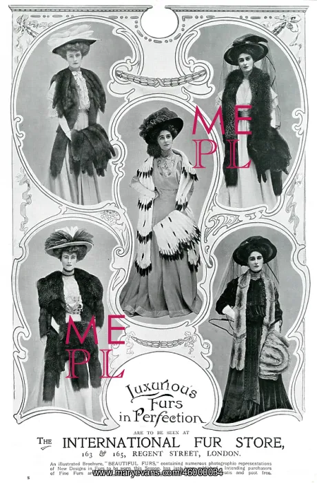 : Advert for International Fur Store 1907 : Advert for International Fur Store 1907
