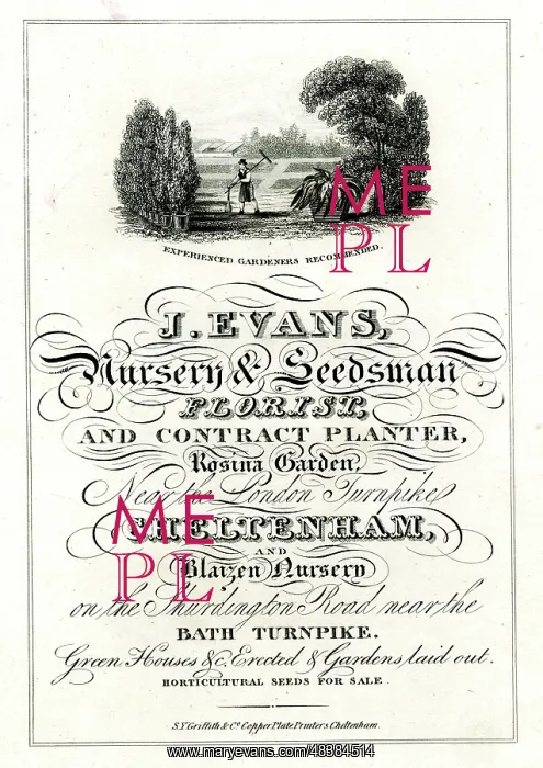 : Advert, J Evans, Nursery & Seedsman : Advert, J Evans, Nursery & Seedsman
