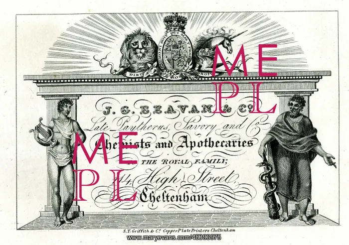 : Advert, J G Beavan & Co, Chemists and Apothecaries : Advert, J G Beavan & Co, Chemists and Apothecaries