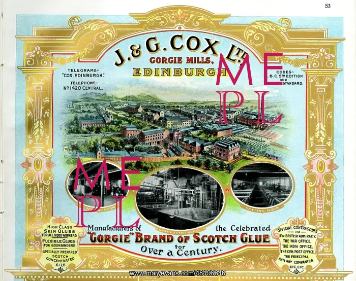 : Advert, J & G Cox Ltd, Gorgie Mills, Edinburgh, Scotland : Advert, J & G Cox Ltd, Gorgie Mills, Edinburgh, Scotland