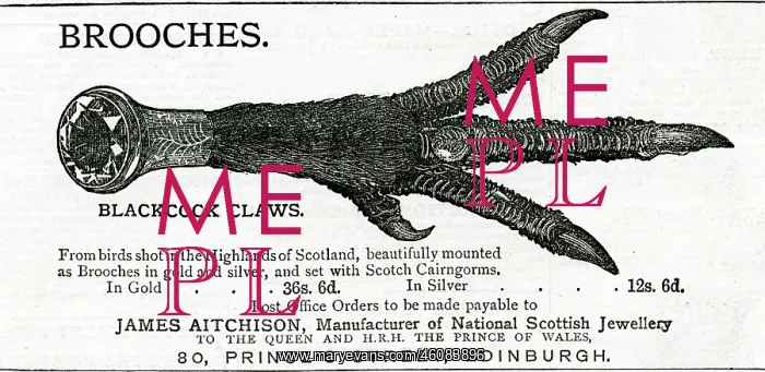 : Advert for James Aitchison brooches 1883 : Advert for James Aitchison brooches 1883