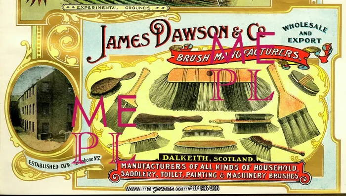 : Advert, James Dawson & Co, Dalkeith, Scotland : Advert, James Dawson & Co, Dalkeith, Scotland