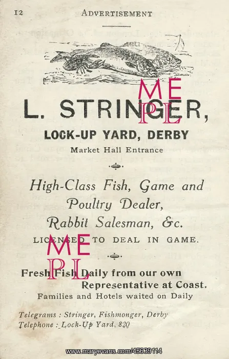 : Advertisement for L Stringer, fish, game and poultry dealer : Advertisement for L Stringer, fish, game and poultry dealer