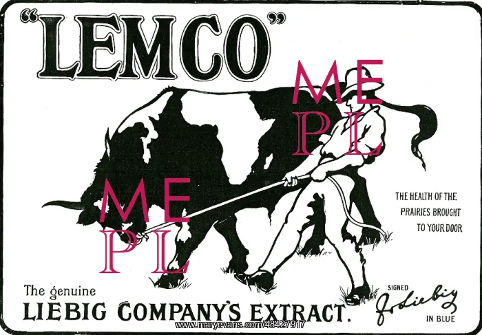 : Advertisement for Lemco, the Liebig Company's : Advertisement for Lemco, the Liebig Company's