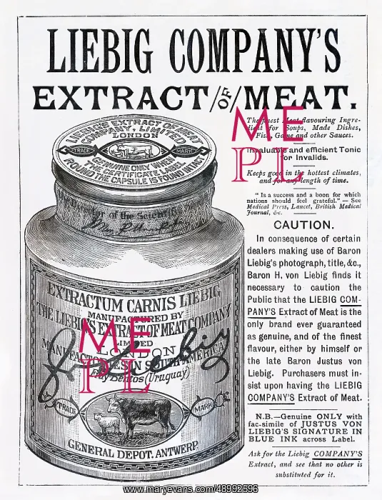 : Advert for Liebig Company's Extract of Beef 1880s : Advert for Liebig Company's Extract of Beef 1880s