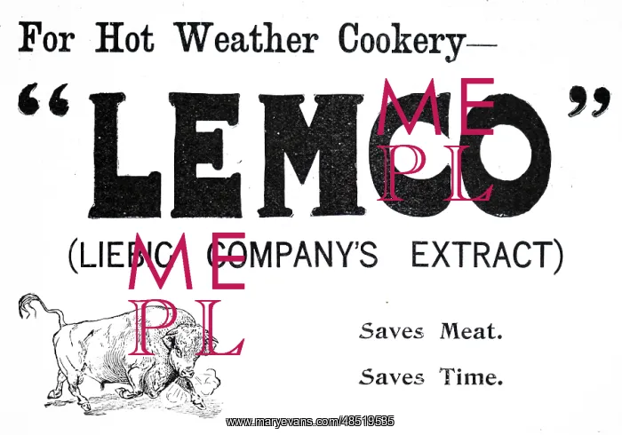 : An advertisement for Liebig Meat Extracts : An advertisement for Liebig Meat Extracts