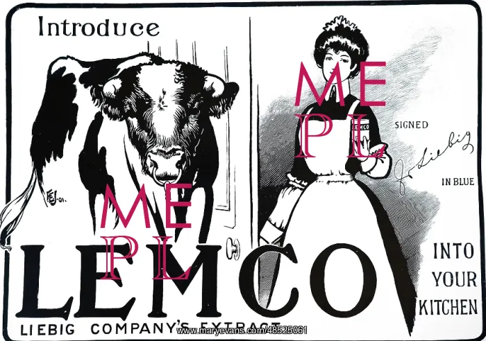 : An advertisement for Liebig Meat Extracts : An advertisement for Liebig Meat Extracts