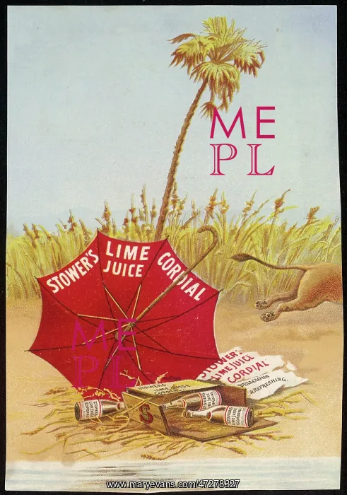 : ADVERT / LIME JUICE 3 / 5 : ADVERT / LIME JUICE 3 / 5