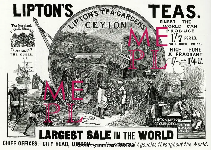 : Advert for Lipton's Teas 1896 : Advert for Lipton's Teas 1896