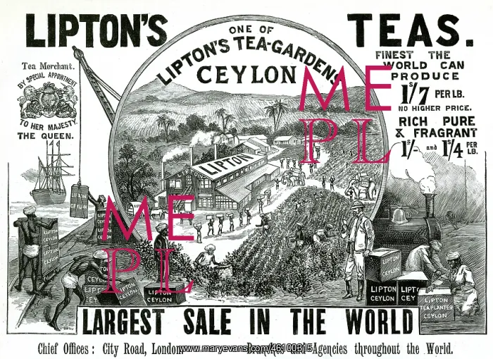 : Advert for Lipton's Teas 1896 : Advert for Lipton's Teas 1896