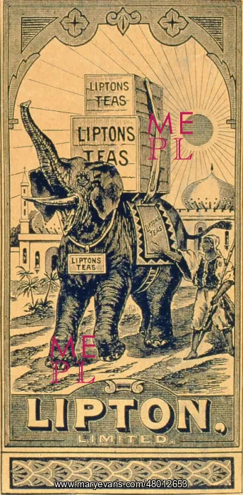 : Advertisement for Lipton's Teas : Advertisement for Lipton's Teas