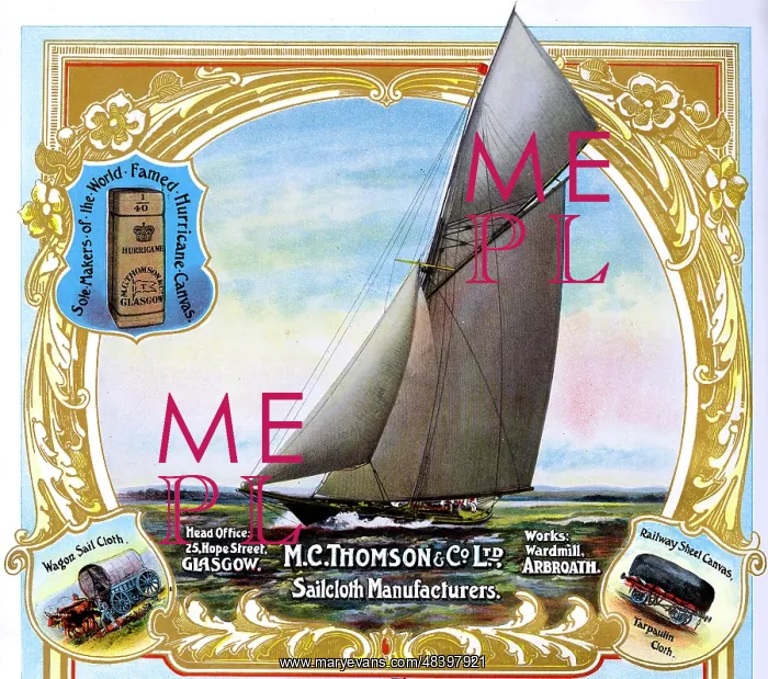 : Advert, M C Thomson & Co Ltd, Glasgow, Scotland : Advert, M C Thomson & Co Ltd, Glasgow, Scotland