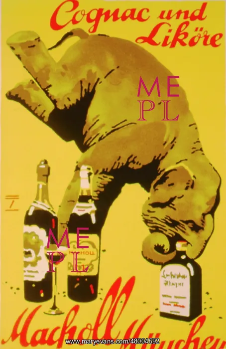 : Advertisement for Macholl Cognac and Liqueurs : Advertisement for Macholl Cognac and Liqueurs