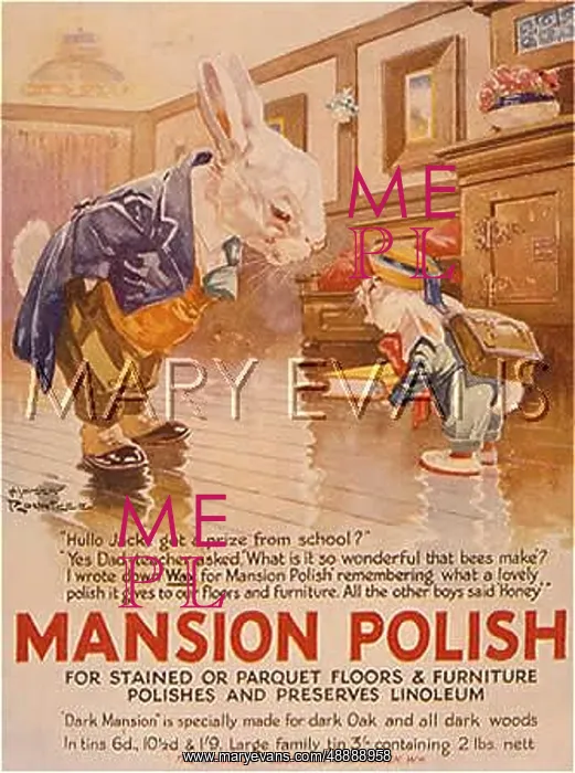 : ADVERT / MANSION POLISH : ADVERT / MANSION POLISH