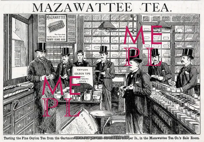 : Advert, Mazawattee Tea Co : Advert, Mazawattee Tea Co