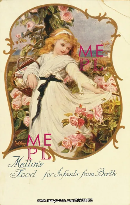 : Advertisement for Mellin's Food : Advertisement for Mellin's Food
