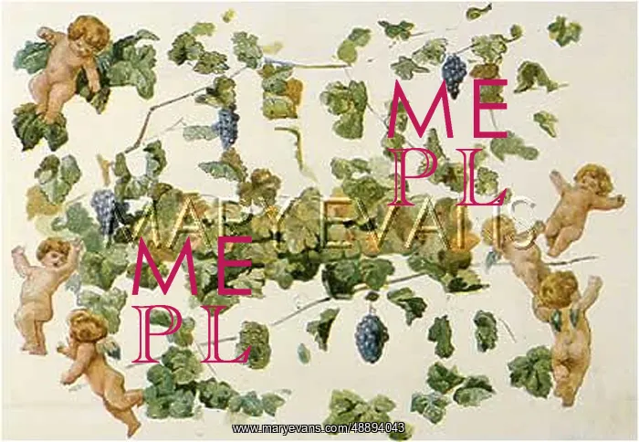  : ADVERT / MELLIN'S FOOD