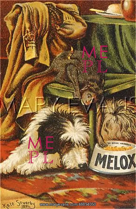  : ADVERT / MELOX DOG FOOD