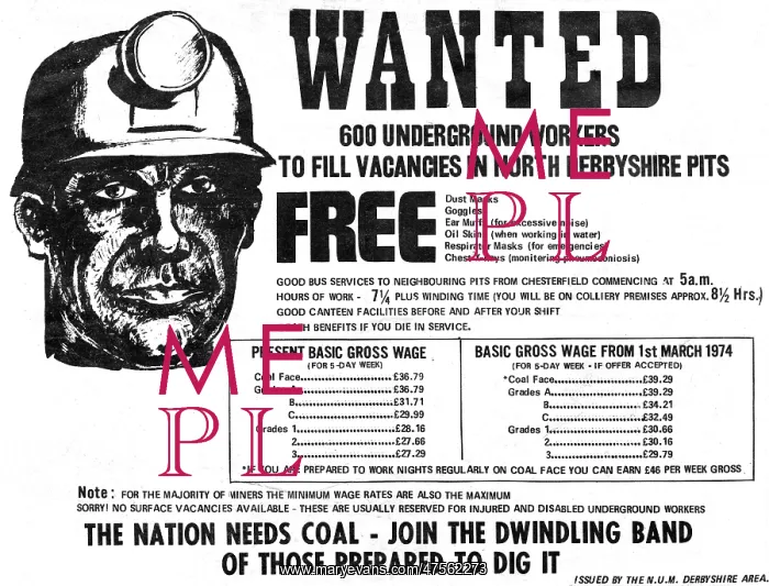 : Advertisement for Miners : Advertisement for Miners