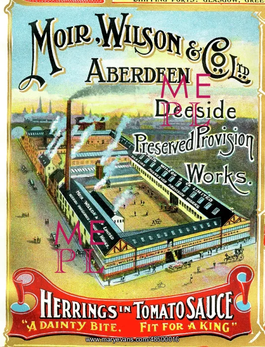 : Advert, Moir, Wilson & Co Ltd, Aberdeen, Scotland : Advert, Moir, Wilson & Co Ltd, Aberdeen, Scotland