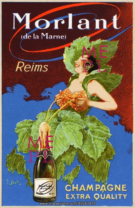 : Advertisement - Morlant Champers : Advertisement - Morlant Champers