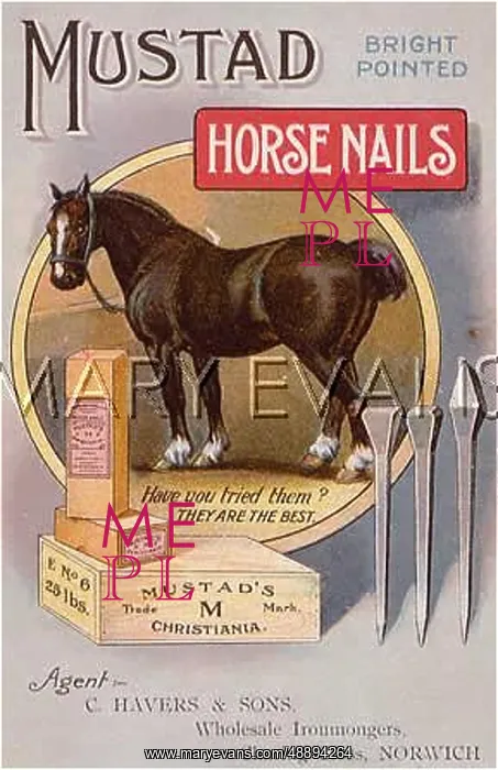  : ADVERT / MUSTAD HORSE NAIL