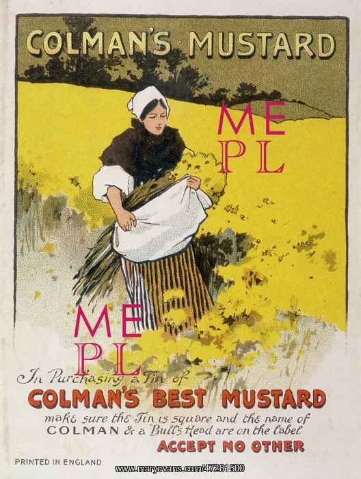: ADVERT / MUSTARD / COLMAN'S : ADVERT / MUSTARD / COLMAN'S