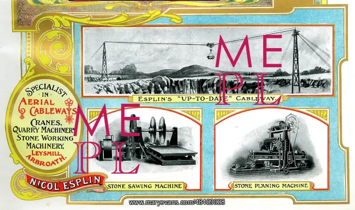 : Advert, Nicol Esplin, Aerial Cableways, Arbroath, Scotland : Advert, Nicol Esplin, Aerial Cableways, Arbroath, Scotland