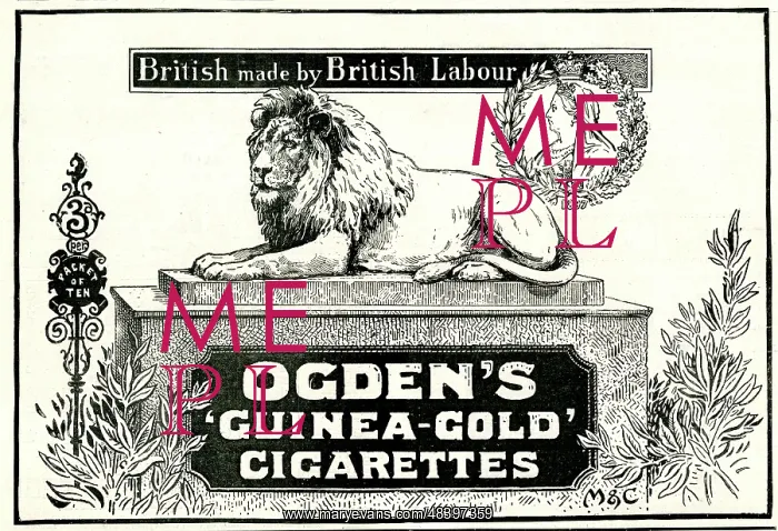 : Advert for Ogden's Guinea-Gold Cigarettes : Advert for Ogden's Guinea-Gold Cigarettes