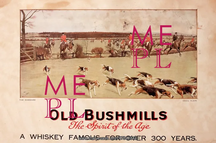 : Advertisement for Old Bushmills Whiskey - Fox Hunt : Advertisement for Old Bushmills Whiskey - Fox Hunt
