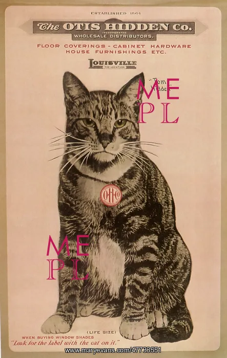 : Ad for Otis Hidden Company with Cat