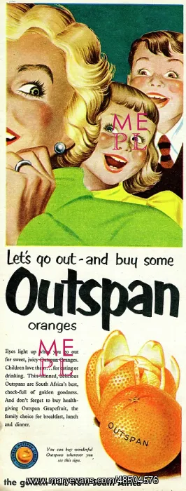  : Advertisement, Outspan Oranges