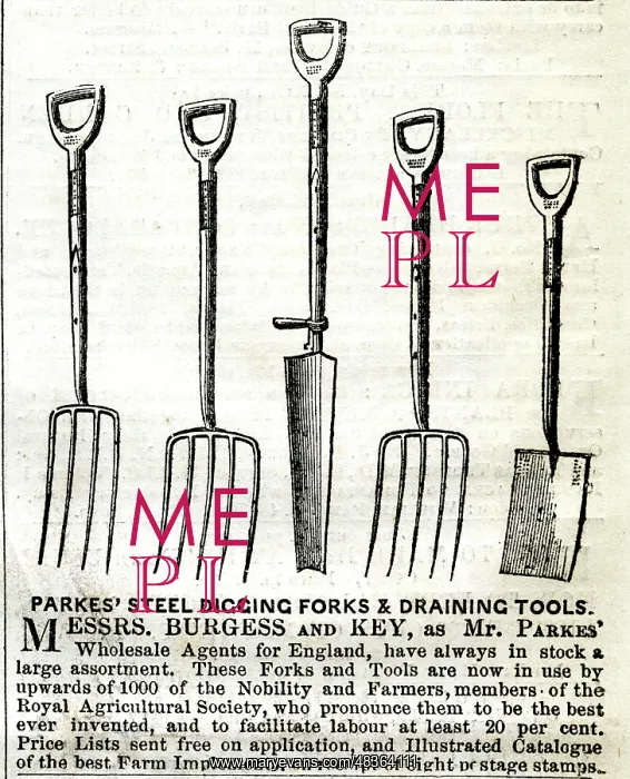 : Advert, Parkes steel digging forks and draining tools : Advert, Parkes steel digging forks and draining tools