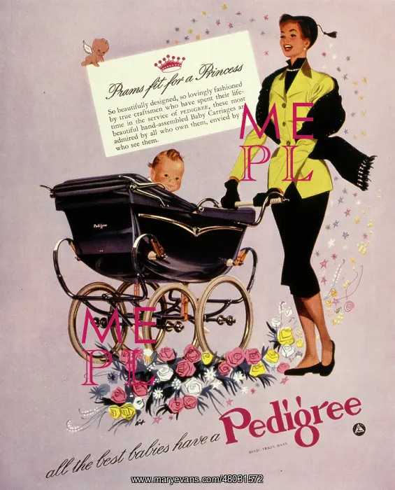 : Advertisement for Pedigree prams : Advertisement for Pedigree prams