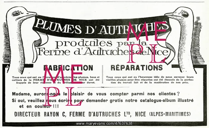 : Advert for Plumes D'autruches 1912 : Advert for Plumes D'autruches 1912
