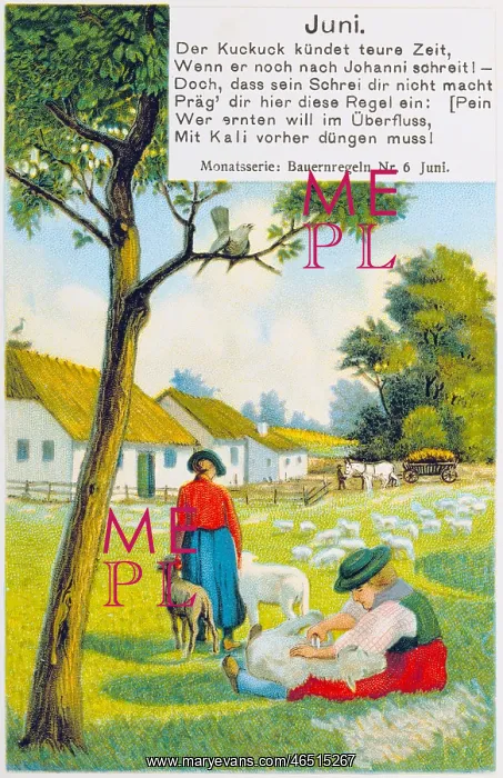 : advertising, postcard, advertising postcard of : advertising, postcard, advertising postcard of