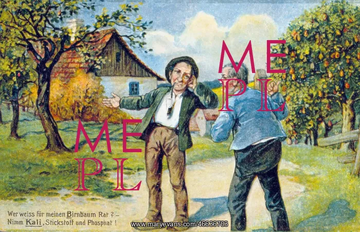 : advertising, postcard, advertising postcard of : advertising, postcard, advertising postcard of