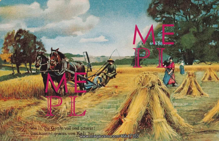 : advertising, postcard, advertising postcard of : advertising, postcard, advertising postcard of