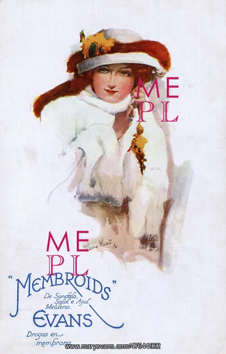 : Advertisement on a postcard, Evans Membroids : Advertisement on a postcard, Evans Membroids