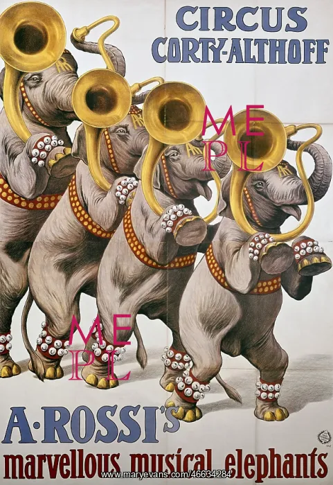 : advertising, poster Circus Corty-Althoff, colour : advertising, poster Circus Corty-Althoff, colour